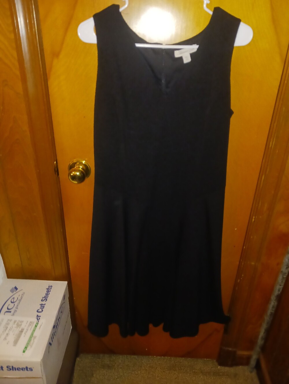 Coldwater Creek Black Sleeveless Fit-and-Flare Dress
